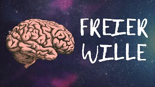 Die Illusion des freien Willens  Psychologie Neurowissenschaft amp Philosophie [upl. by Sergius]