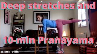 Chair Yoga  stretches for pain relief  Pranayama  Breathing exercises  breath work [upl. by Eirret]