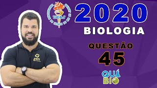 UERJ 2020  2o EQ  Questão 45  Algumas embalagens de alimentos apresentam no rótulo a informação [upl. by Delphine]