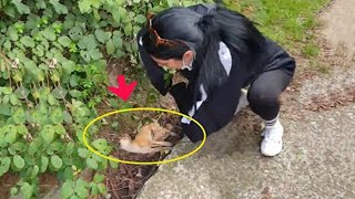 Kind hearted women rescued an abandoned puppy from the brink of death [upl. by Eiger]