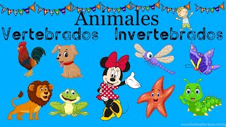 Animales vertebrados e invertebrados para niños [upl. by Nuncia617]