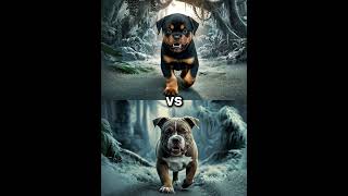 Rottweiler Puppy vs Pitbull puppy  German Shepherd Husky Doberman labrador retriever Pointer [upl. by Marlie51]