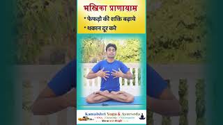 Bhastrika pranayama lungs health short2024 😀 Breathing exercise [upl. by Ilat]