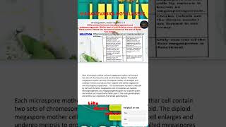 Differentiate between microsporogenesis and megasporogenesis Which type of cell division [upl. by Nymrak]