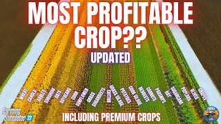 MOST PROFITABLE CROPS TEST  Farming Simulator 22 [upl. by Refinney839]