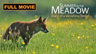 Discover the Surprising Nature of a Meadow  Full Documentary [upl. by Aehsat284]