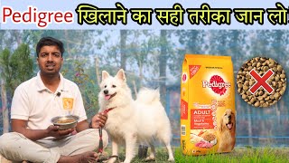 Dog ko pedigree kaise khilana cahyea [upl. by Suckow]