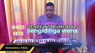 Sengidinga Wena Instrumental ll Powerful Itende Worship Strings ll SHEKS THOBELA [upl. by Assinna]