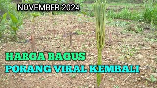 KEMBALI VIRAL HARGA NAIK KEMBALI JADI IDAMAN PETANI [upl. by Moureaux124]