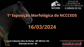 Tarde  1ª Exposição Morfológica do NCCCEDS [upl. by Alithia]