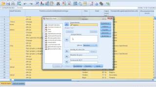 2 Regresión lineal simple con SPSS [upl. by Merriott753]