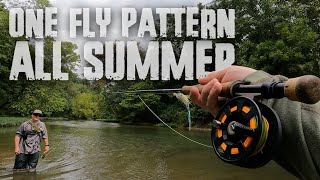 One Fly Pattern All Summer Chasing Ozark Smallmouth [upl. by Ahsiaa]