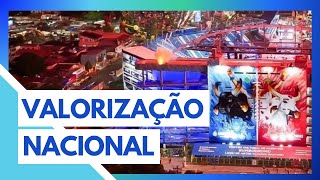 PARINTINS SENADO RECONHECE FESTIVAL COMO MANIFESTAÃ‡ÃƒO DA CULTURA NACIONAL [upl. by Ibed]