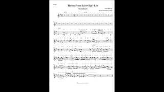 The schindlers list violin part [upl. by Akcinat189]