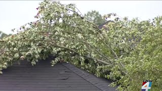 Storm damage cleanup underway in the St Johns County Samara Lakes neighborhood [upl. by Wasserman]