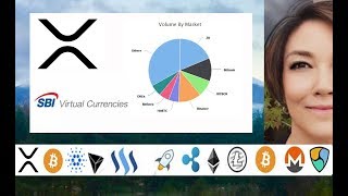 Debate Ripple David Schwartz Money 2020 2018 XRP Volume by Exchange SBI Virtual Currencies [upl. by Ordep76]