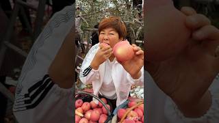 Apple fruits shorts fruits songtrendingshorts [upl. by Yoccm]