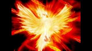 PHOENIX  PERLE INSTRUMENTALE [upl. by Derby207]