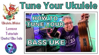 How To Tune Your Bass Ukulele  Various Methods [upl. by Ignacio]