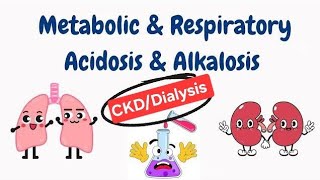 Acidosis Alkalosis Acid base balance in DialysisCkd patients metabolic acidosis [upl. by Asenav]