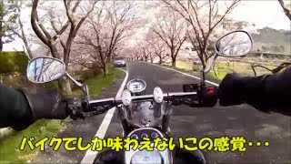 エリミネーター125で桜見に行くよ！2016 前戯編 [upl. by Eillas108]