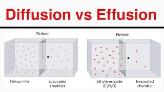 What is Difference Between Diffusion and Effusion [upl. by Haral]