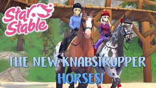 The New Knabstrupper Horses 😍🐴 [upl. by Mabel]