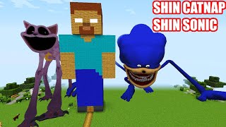 SURVIVING From SHIN SONIC and SHIN CATNAP in Minecraft  Gameplay  Coffin Meme [upl. by Aggappora]