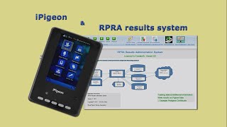 iPigeon Pigeon Clock and RPRA Result Demo [upl. by Haneen]