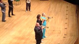 Mnozil Brass  Cardiff 2013  Pt 8 [upl. by Ateloiv366]