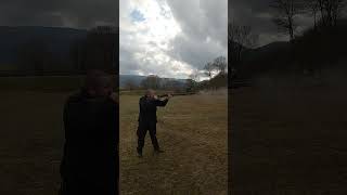 Swiss Vetterli 104x38R shorts gun shooting education history antique viral [upl. by Akemet]