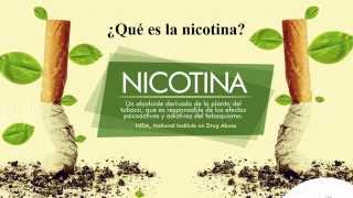 ¿Qué es la Nicotina [upl. by Eustacia]