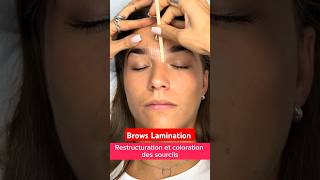 Restructuration et coloration des sourcils 2 brows eyebrows eyebrowtutorial browshaping [upl. by Amlet]