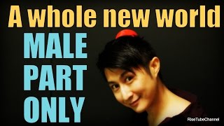 A whole new world KaraokeMALE part vocals only  男性（アラジン）パートのみ [upl. by Ivy]