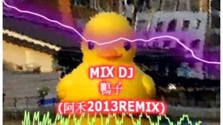 鴨子MIX DJ阿禾2013REMIX [upl. by Enoyrt805]