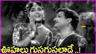 Oohalu Gusagusalade Video Song  Bandipotu Telugu Movie Songs  NTR [upl. by Hock]