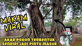 masa Allah akar pohon ini terbentuk jadi pintu masuk makam [upl. by Thorncombe628]