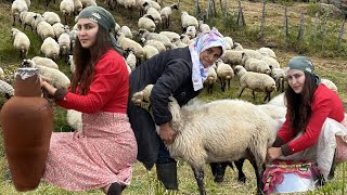 Daily life in nomadic life Preparing dairy products in the mountains ⛰️⛰️🏡 [upl. by Annairoc]