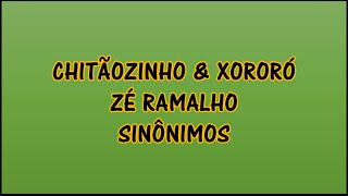 Chitãozinho amp Xororó Zé Ramalho  Sinônimos Lyrics  Letra en Portugués  Traducida al Español [upl. by Jensen]