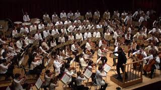 STRAUSS Heldenleben  TMCO with Andris Nelsons [upl. by Mehta]