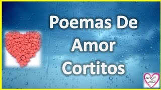 Poemas De Amor Cortitos Para Enamorar A Mi Novia [upl. by Nnazus]