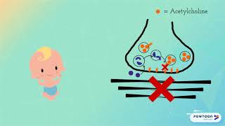 Infant Botulism and Botulinum Toxin MOA [upl. by Judah]