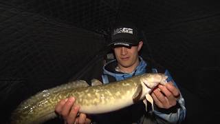 Discovering  Night fishing for Burbot UnderIce Bait Bag [upl. by Bate401]