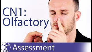 Cranial Nerve 1  Olfactory Nerve Assessment for Physiotherapists [upl. by Llertnov]