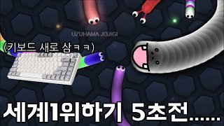 지렁이 키우기 게임 세계1등 하려다가 키보드 뿌셨습니다 [upl. by Maer136]