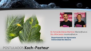 ENFERMEDADES DE LAS PLANTAS POSTULADOS DE KOCH  PASTEUR [upl. by Sharon]