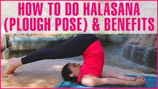 How To Do HALASANA PLOW POSE amp Its Benefits [upl. by Annaesor]