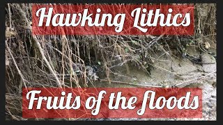 Arrowhead hunting 50 Hawking Lithics big rains bring big possibilities 🦅 [upl. by Marrin]