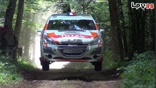 Rallye Terre de Langres 2015 HD  LPV88 [upl. by Eeltrebor]