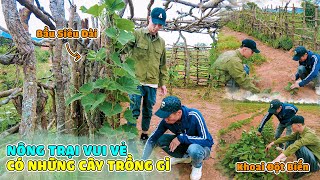 Nông Trại Vui Vẻ Hiện Tại Đang Có Những Giống Cây Trồng Gì  Và Phát Triển Ra Sao [upl. by Heiskell]